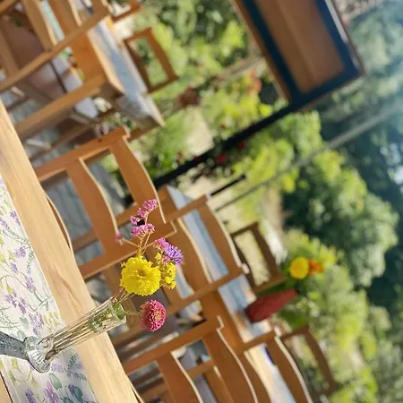 Holiday park Sirena Kamchia (Varna)