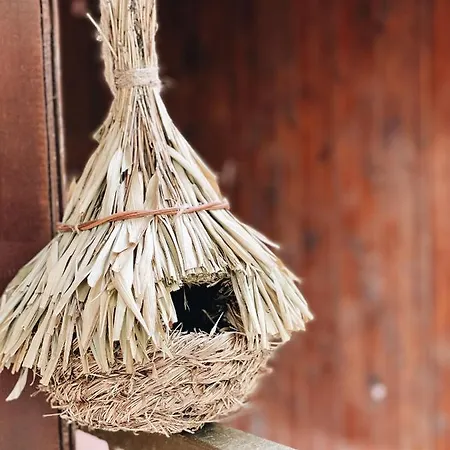 Sirena Holiday park *