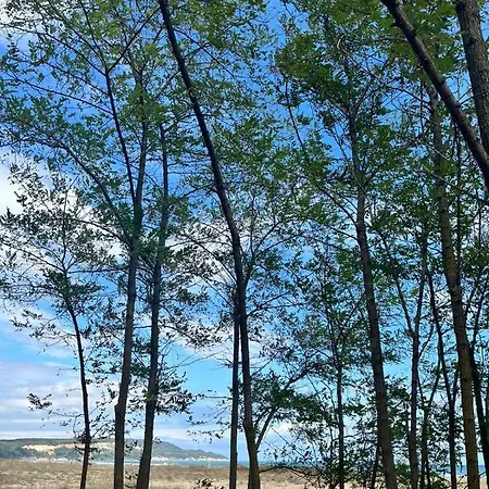 Sirena Holiday park Kamchia (Varna)