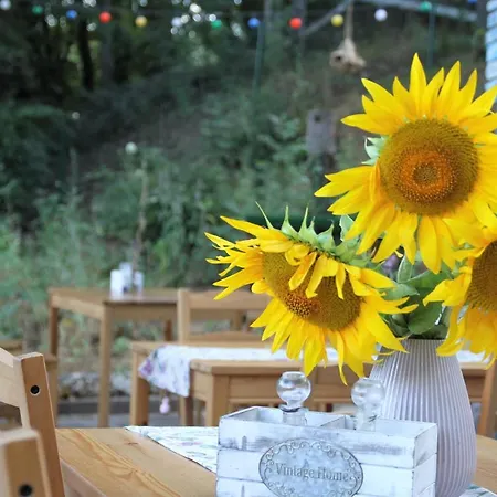 Sirena Holiday park *