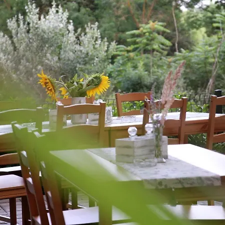 Sirena Holiday park *