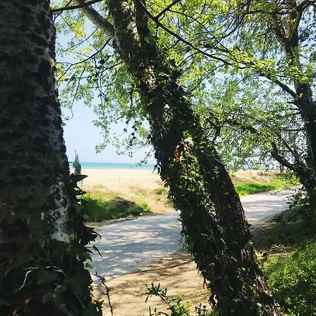 Holiday park Sirena Kamchia (Varna)