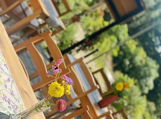 Prázdninový areál Sirena Kamčia