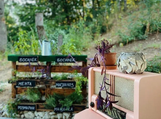 Sirena Prázdninový areál Kamčia