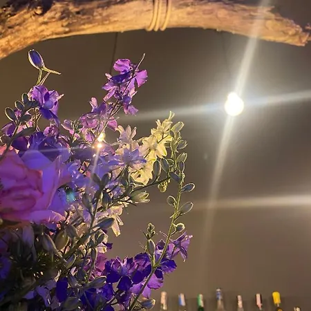 Parc de vacanță Sirena