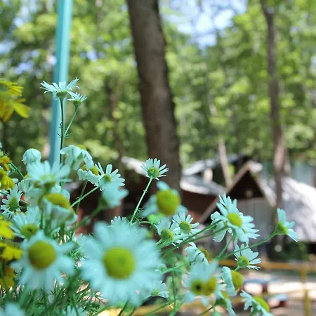 Sirena Kamchia (Varna)