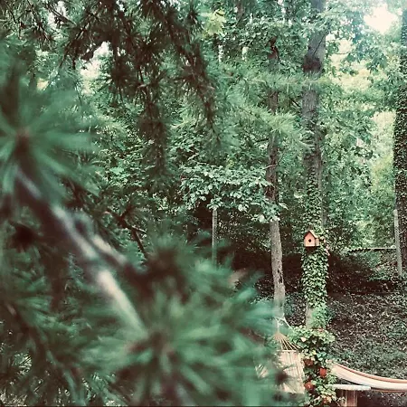 Sirena Parc de vacanță Kamchia (Varna)