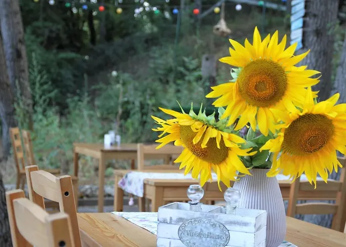 Sirena Ваканционно селище *