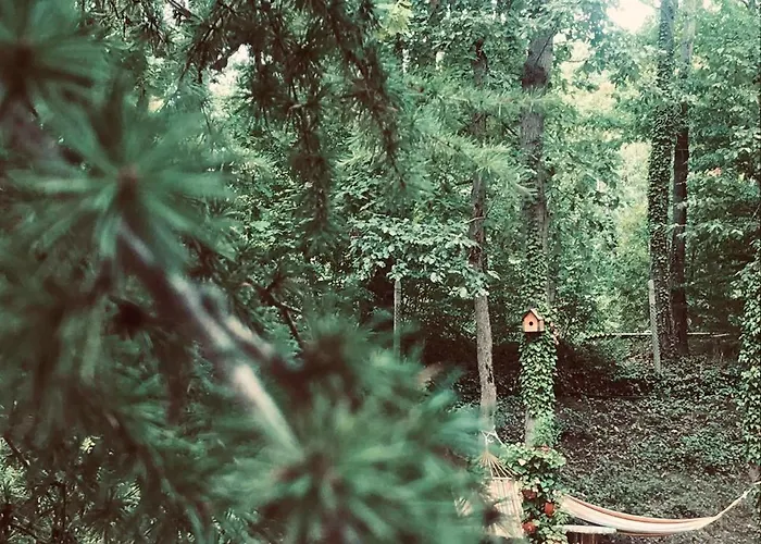 Sirena Holiday park Kamchia (Varna)